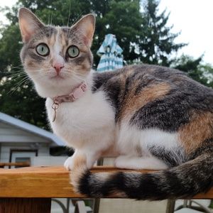 Meet your Posher, Lena